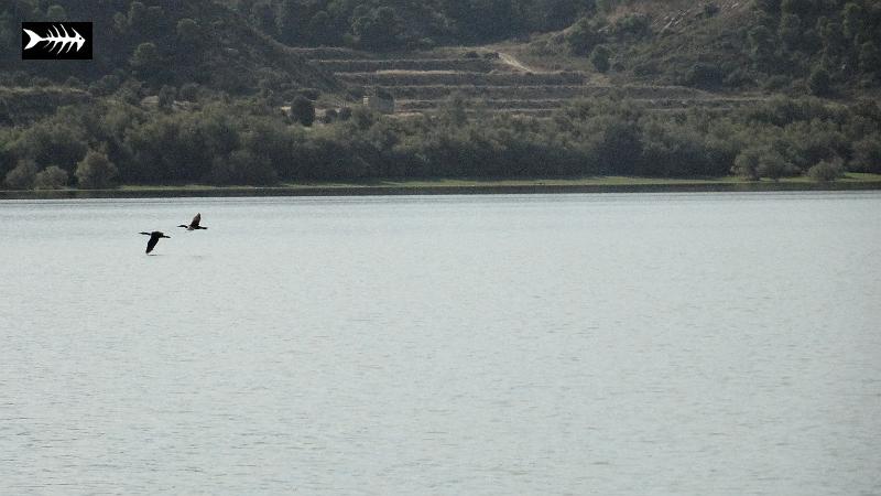 DSC00807.JPG