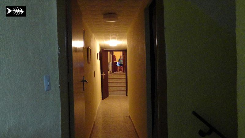 DSC00843.JPG
