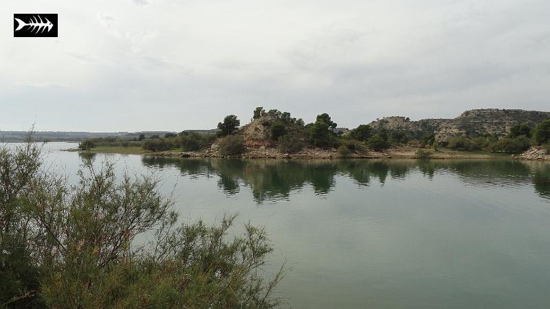 DSC00849.JPG