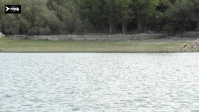 DSC00899.JPG