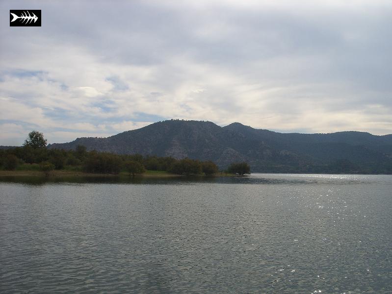 SS853670.JPG