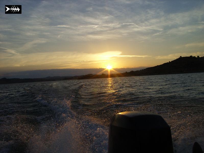 SS853690.JPG