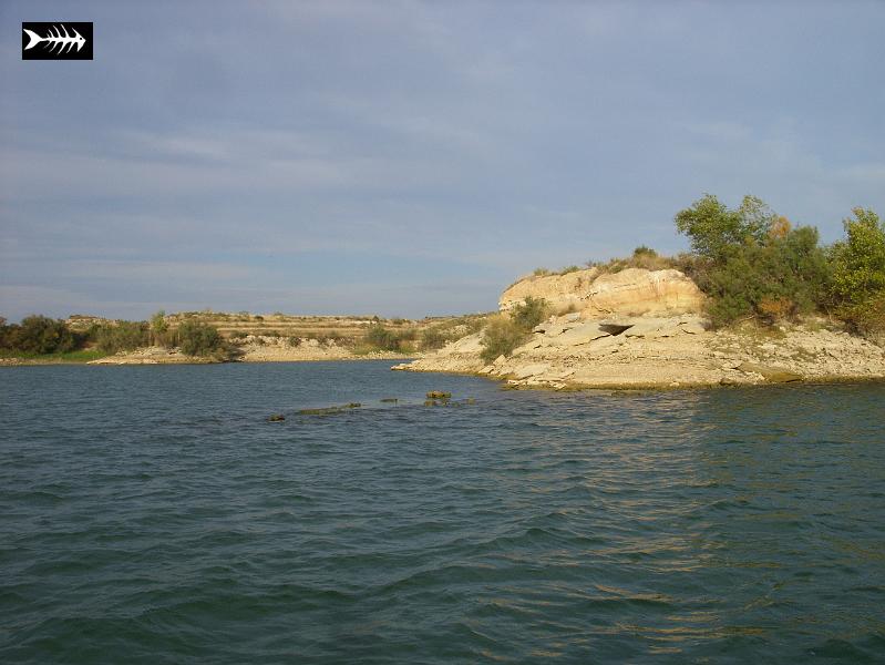 SS853692.JPG