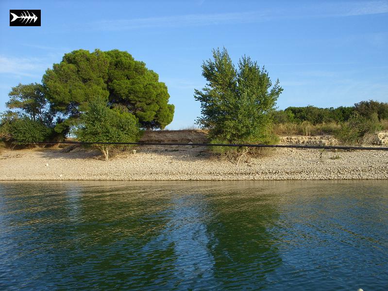 SS853700.JPG