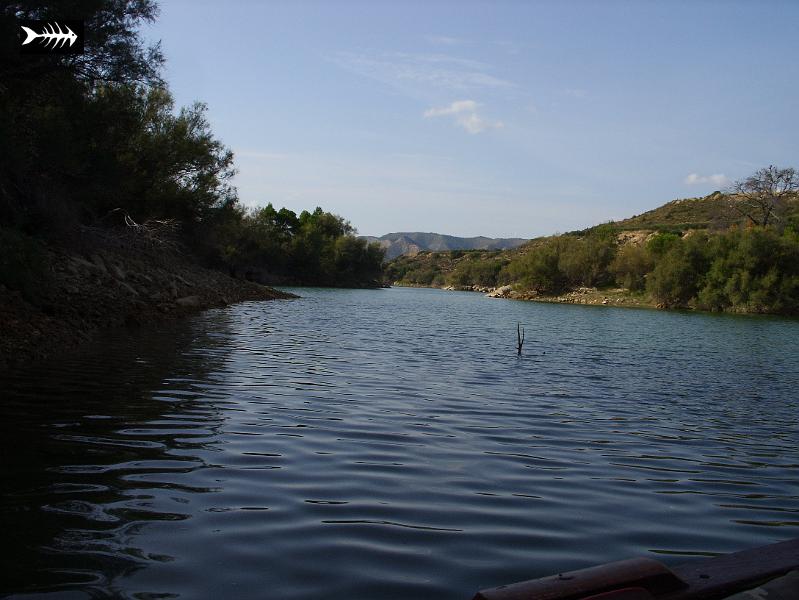 SS853706.JPG