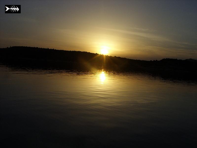 SS853709.JPG