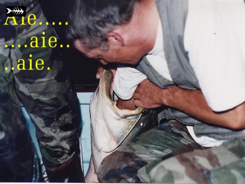 File0011.jpg