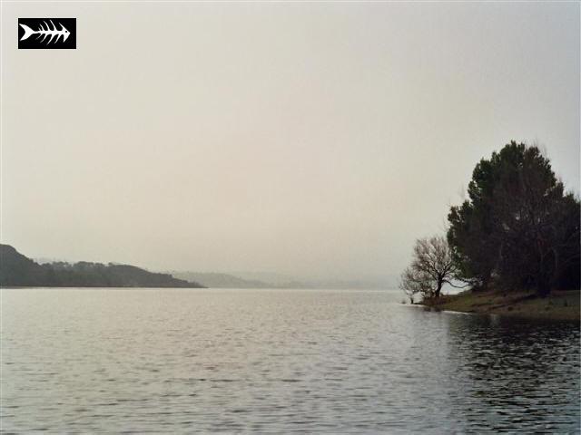 __4_0180.JPG